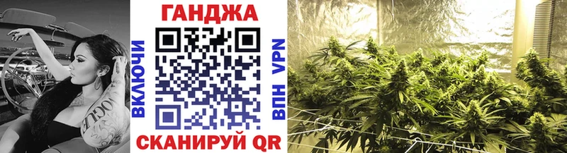 Канабис сатива  KRAKEN ONION  Дедовск 